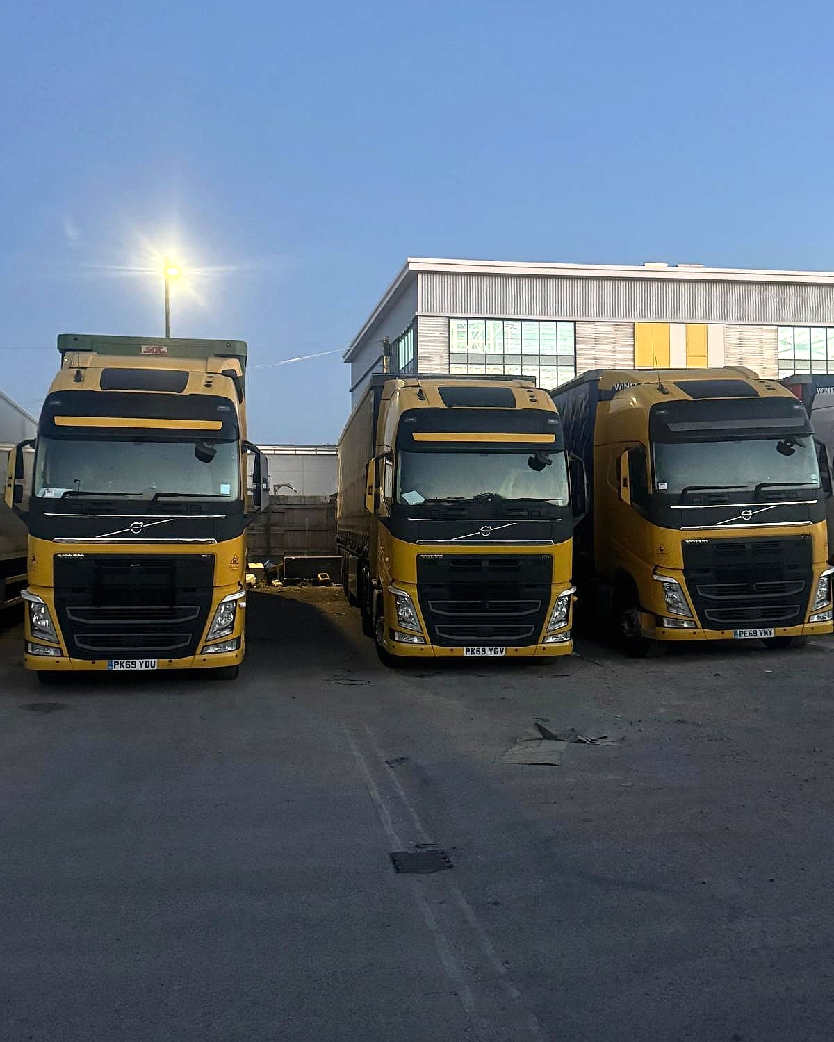 Three yellow Volvo FH tractor units parked side by side on the yard at dusk